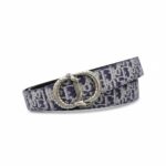 Dior Oblique Canvas Belt Silver Statement Buckle Edition